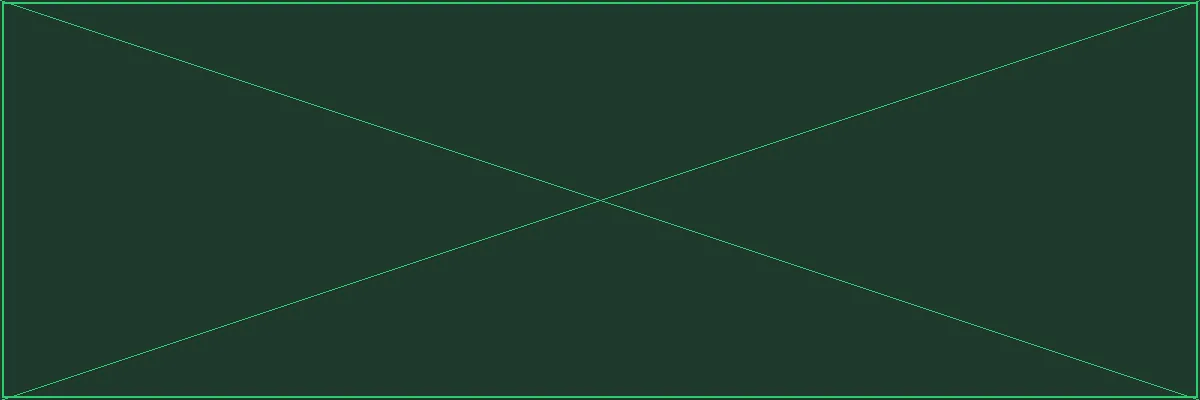 赏金大对决 森林集市交易枢纽